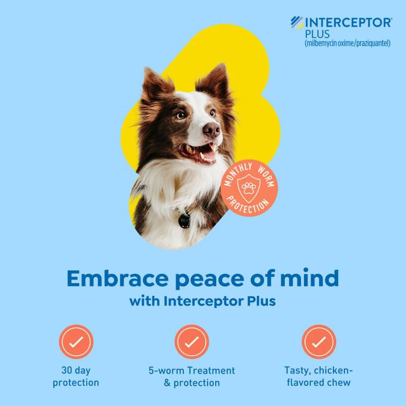 Interceptor Plus Chewable Tablets for Dogs 25.1 -50 lbs Yellow, 6 Month Supply