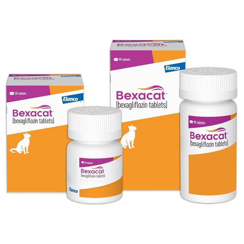 Bexacat (bexagliflozin tablets) for Cats 15 mg