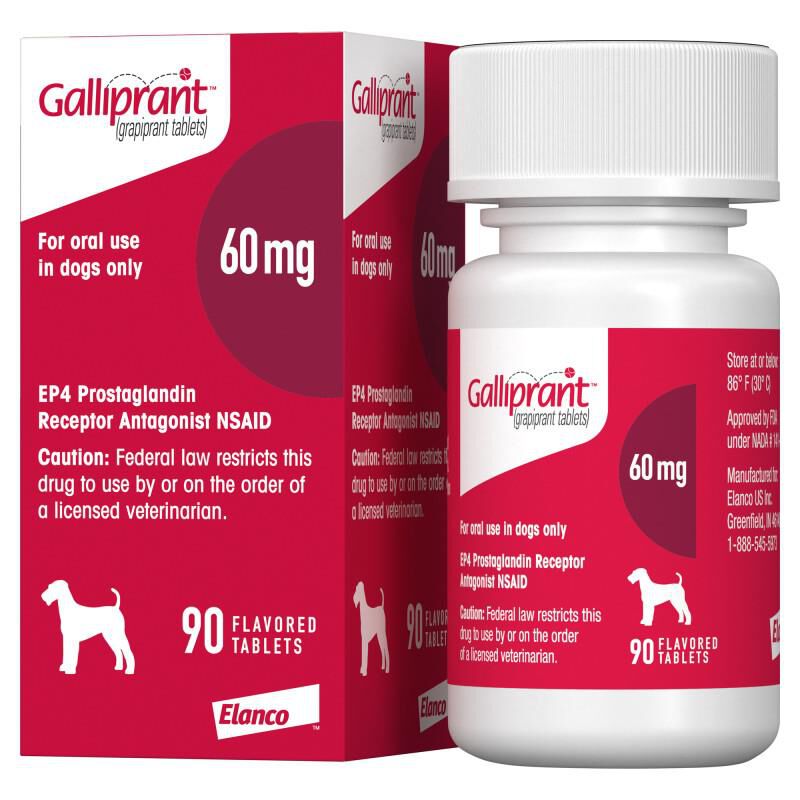 Galliprant Tablets for Dogs 60 mg, 90 Ct.