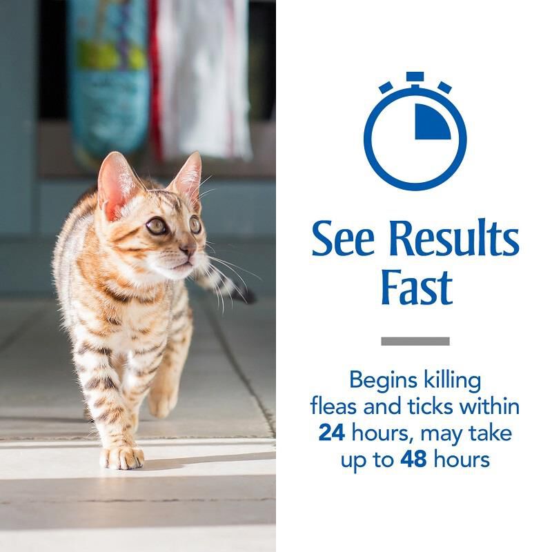PetArmor Plus Flea and Tick Prevention for Cats (Over 1.5 Pounds) Topical, 3 Monthly Treatments