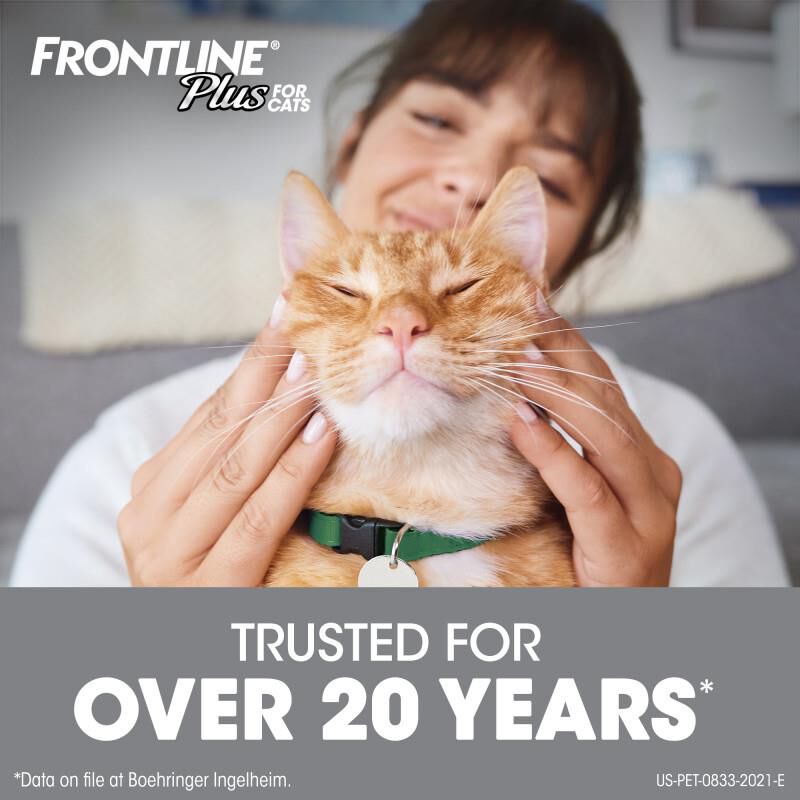 Frontline plus store 6 months