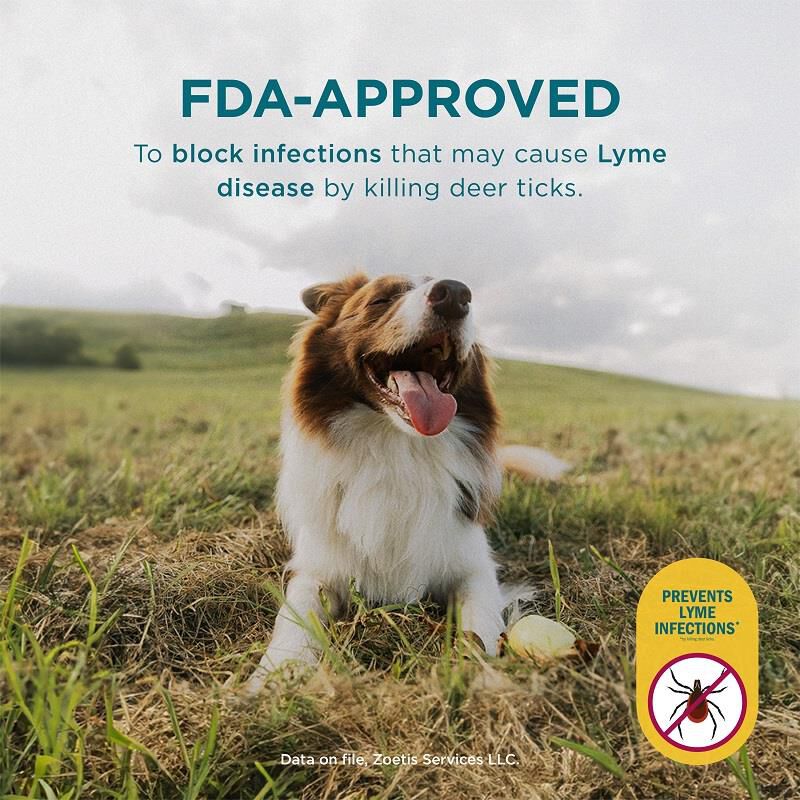 Simparica Chewable Tablets for Dogs 22-44 lbs Blue, 6 Month Supply