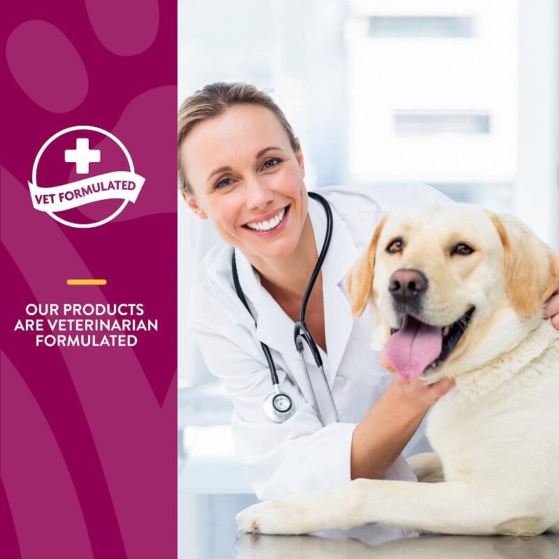 NaturVet Glucosamine DS Plus Level 2, 240 Soft Chews