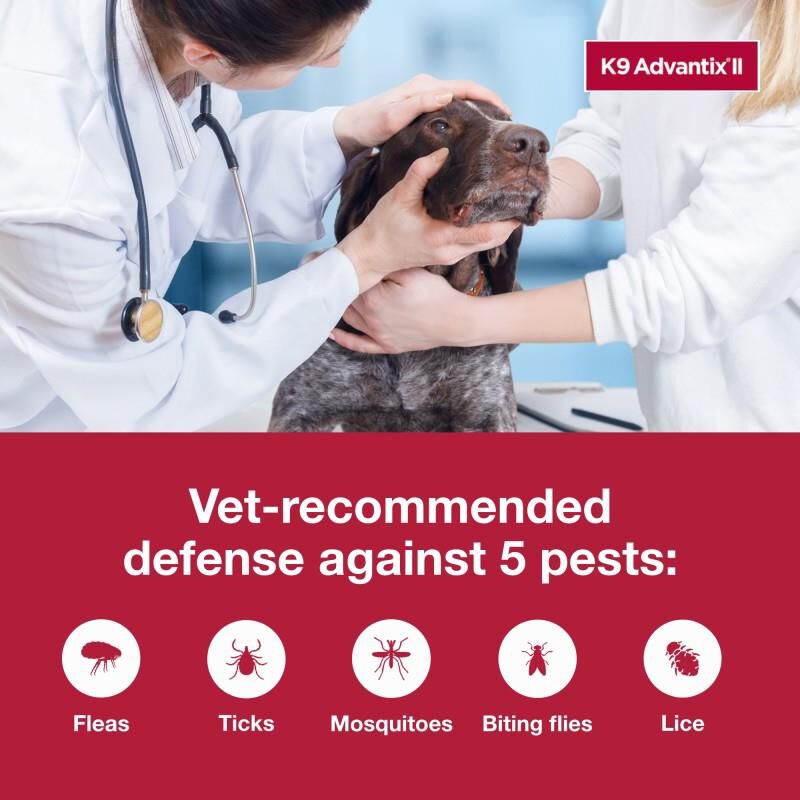 K9 Advantix II Flea and Tick Treatment for Extra Large Dogs, 6 Monthly Treatments