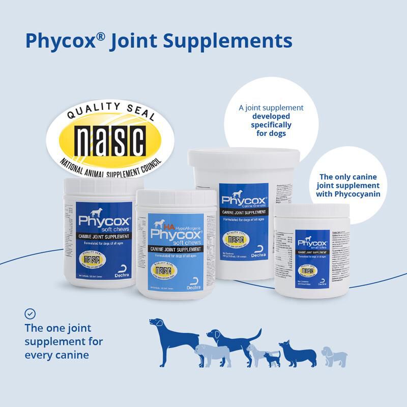 Dechra Pharmaceuticals Phycox Max for Dogs with Joint Issues, 90 Soft Chews