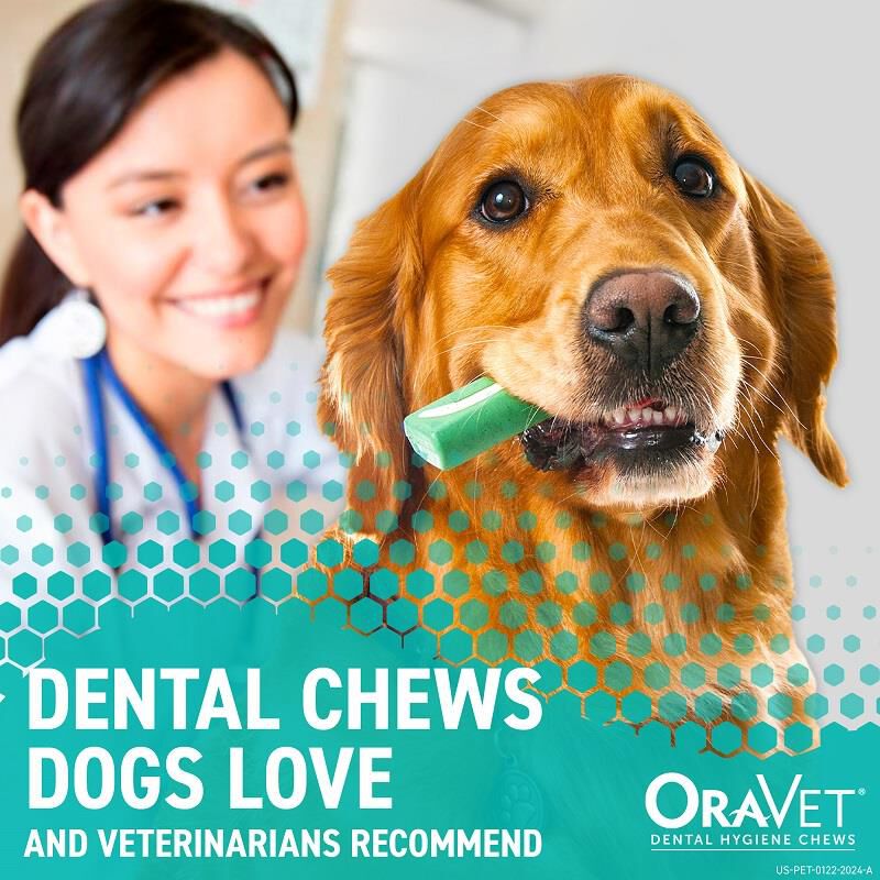 oravet small