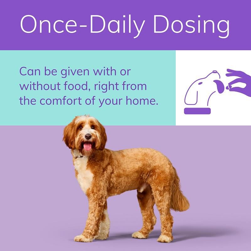Zenrelia (ilunocitinib) Tablets for Dogs, 15 mg 30 ct