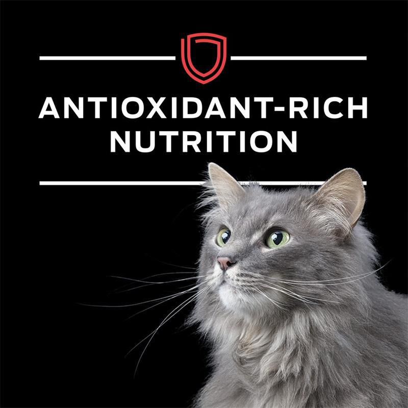 Purina Pro Plan Veterinary Diets DM Savory Selects Dietetic Management Formula Adult Cat Food, 24 x 5.5 oz cans