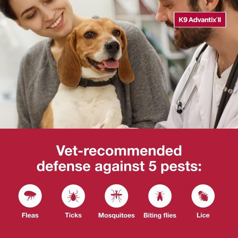 K9 Advantix II up to 10 lbs 6 Month Supply Green