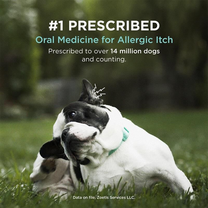 Apoquel Tablet Farm Fleet Rx Pet Pharmacy