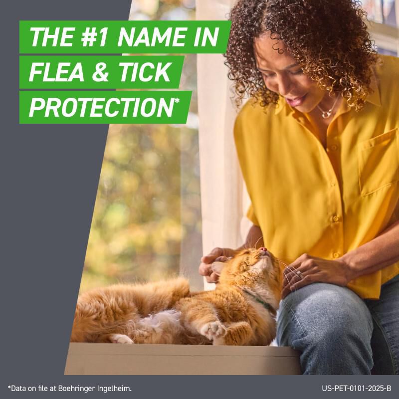 Frontline Plus for Cats and Kittens