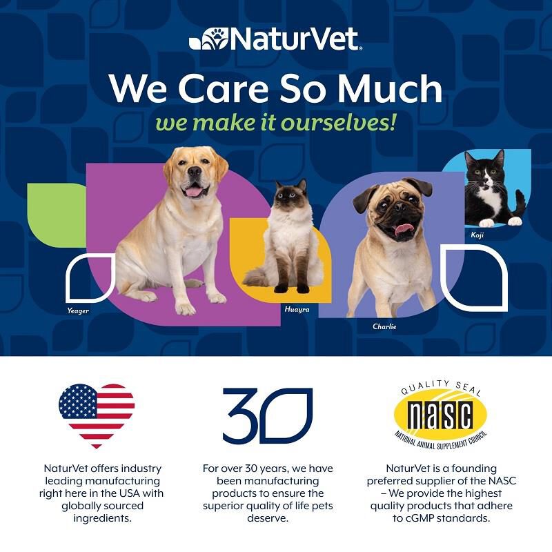 NaturVet Senior Advanced Joint Health Supplement Soft Chews for Dogs