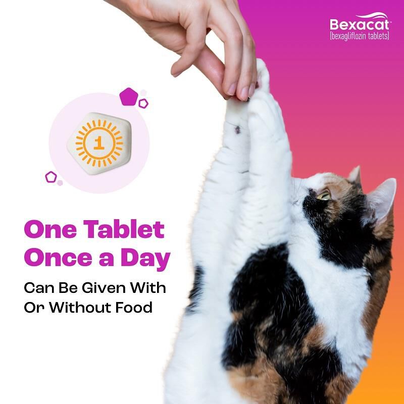 Bexacat (bexagliflozin tablets) for Cats 15 mg