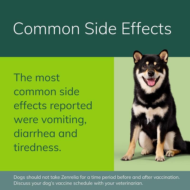 Zenrelia (ilunocitinib) Tablets for Dogs