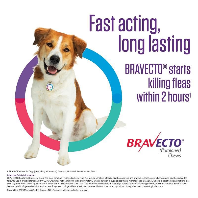 Bravecto and heartgard online