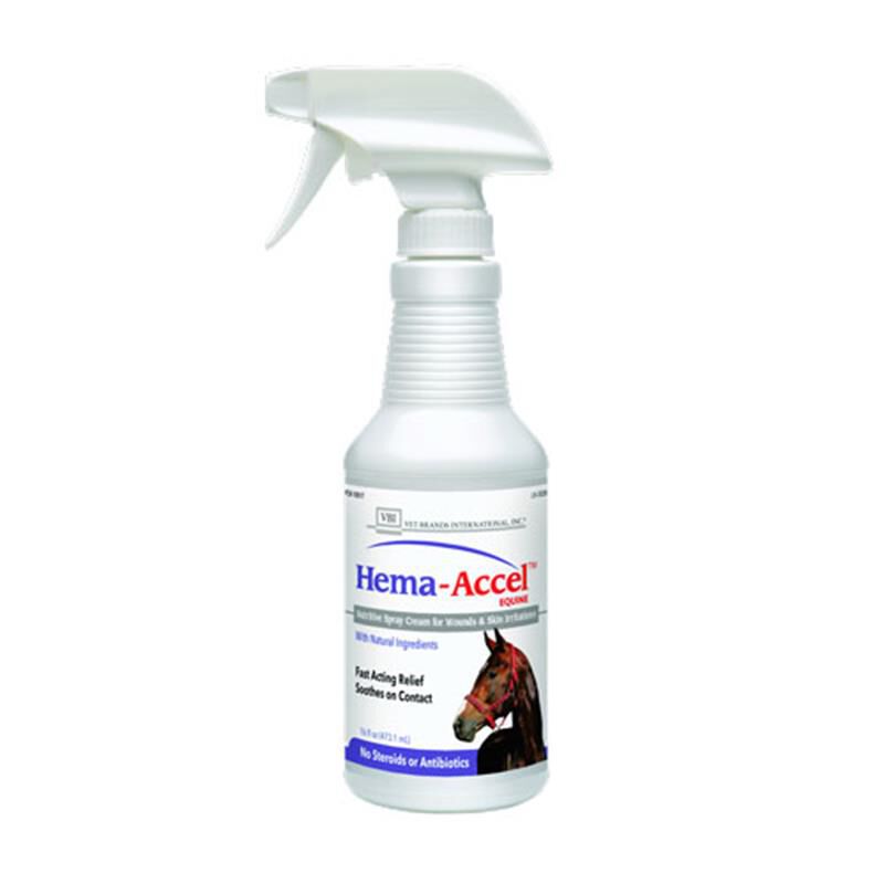 Wound Care Antibiotics Ointments and Bandages Farm Fleet Rx