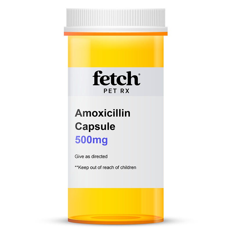 Amoxicillin 500 mg Capsule