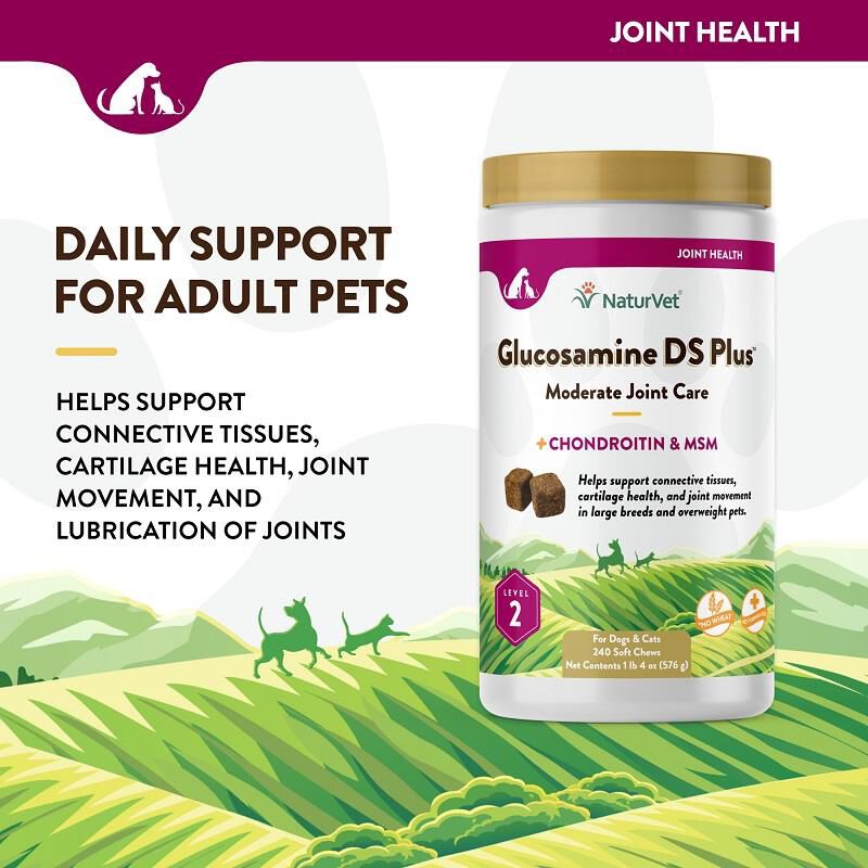 NaturVet Glucosamine DS Plus Level 2, 240 Soft Chews