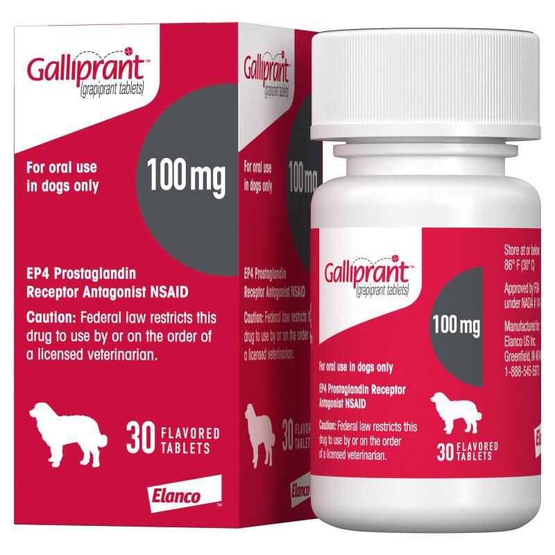 Galliprant Tablets for Dogs 100 mg, 30 Ct.