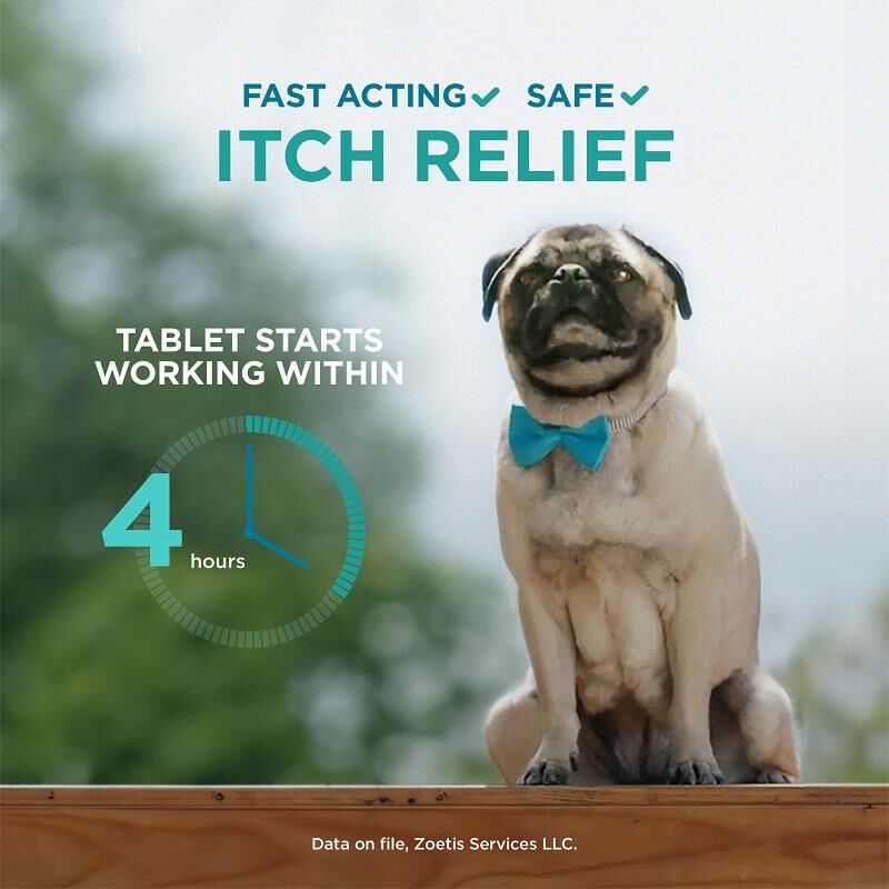 Apoquel Tablet Farm Fleet Rx Pet Pharmacy