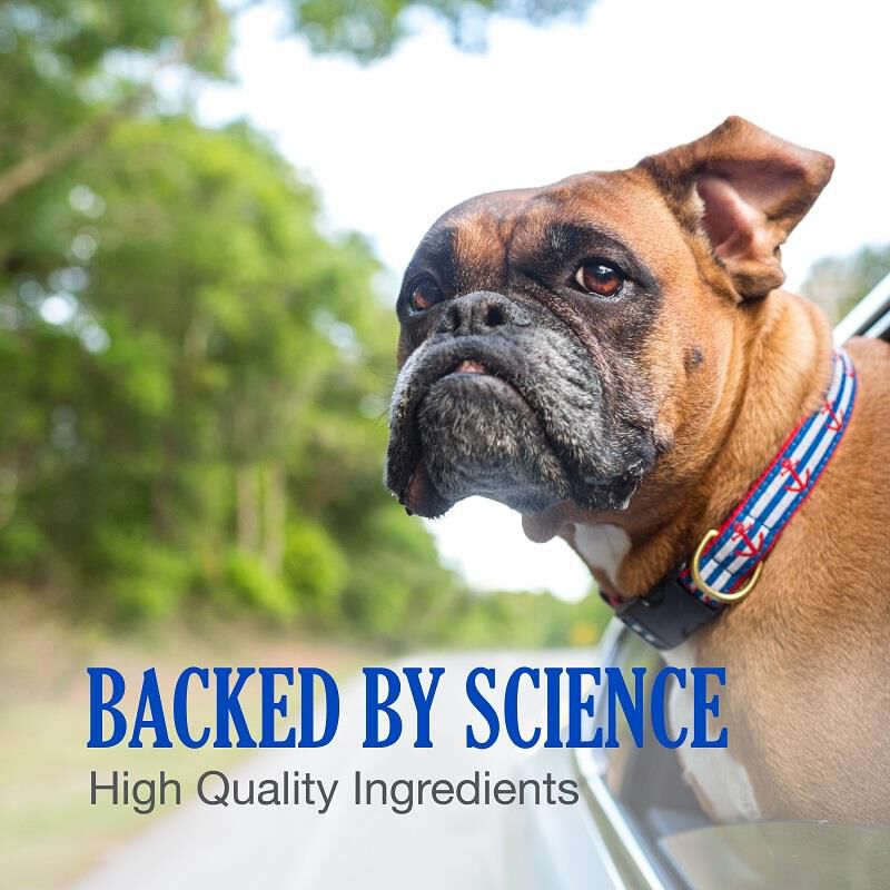 Cobalequin b12 for dogs clearance