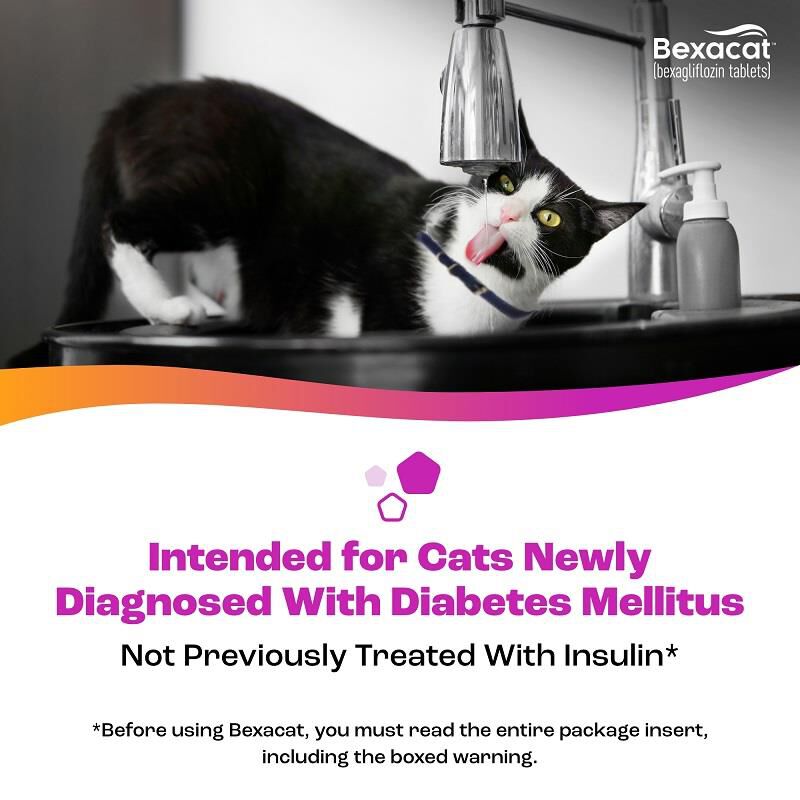 Bexacat (bexagliflozin tablets) for Cats 15 mg