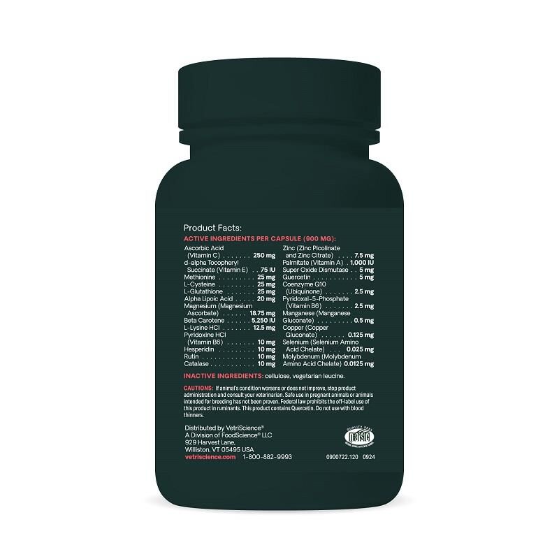 VetriScience Immunity Health Immune Plus