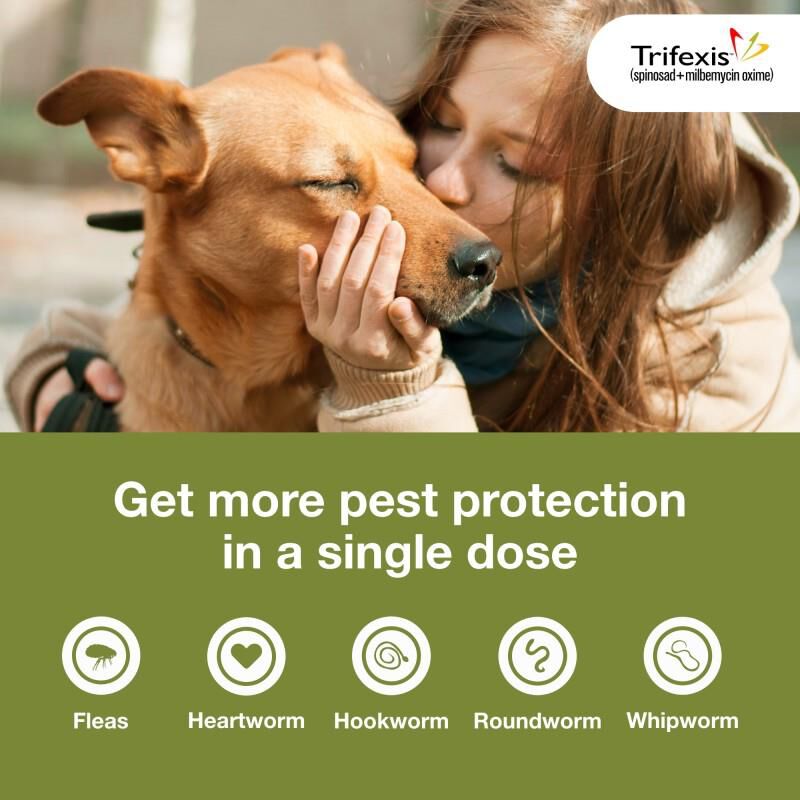 Trifexis Chewable Tablets for Dogs 20.1-40 lbs Green, 6 Month Supply