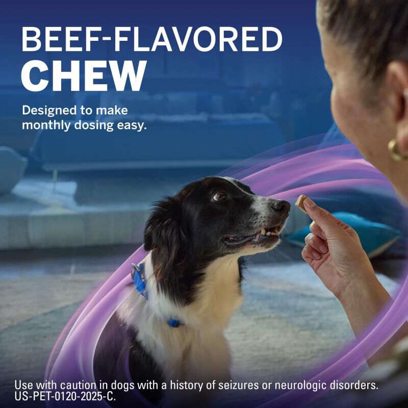 NexGard PLUS Chewables for Dogs 33.1-66 lbs Purple 6 Month Supply