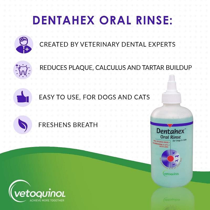 Dental rinse for dogs top