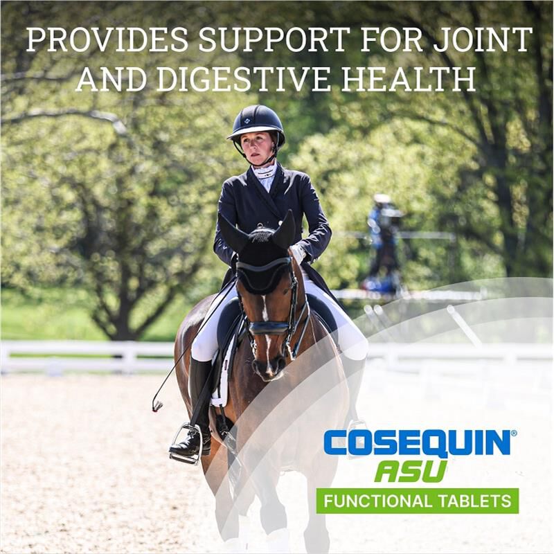Cosequin ASU Functional Tablets for Horses, 240 ct