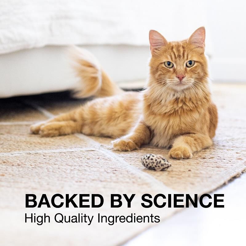 Denosyl for cats hotsell