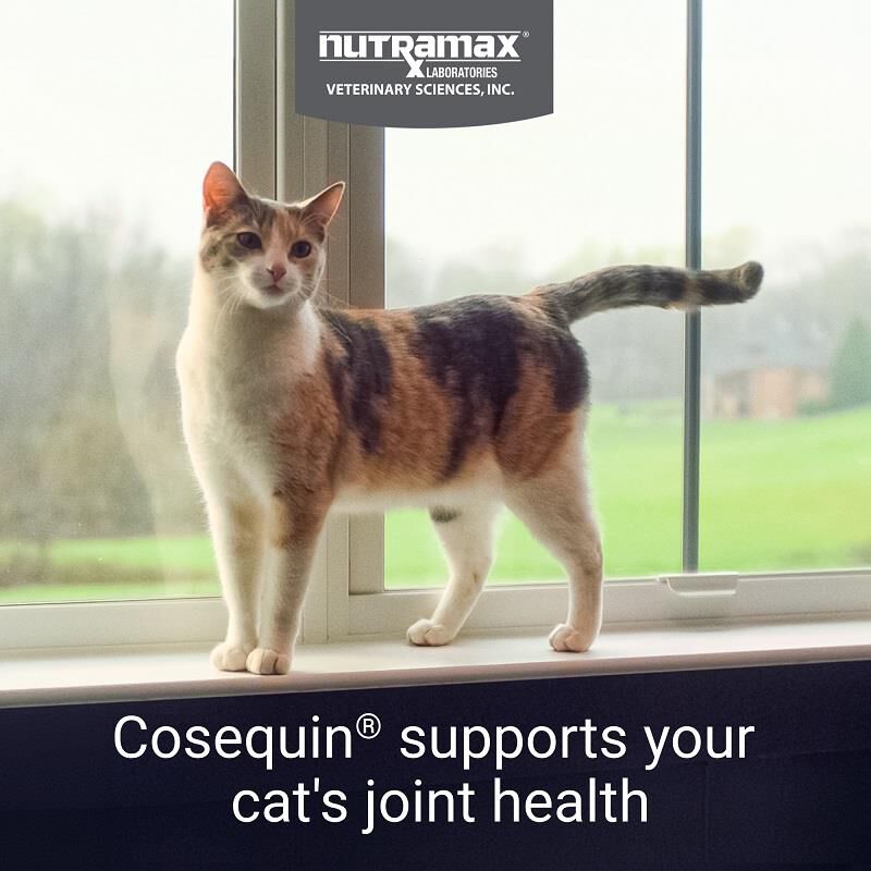 Cosequin Maximum Strength Joint Health Supplement for Cats, Sprinkle Capsules