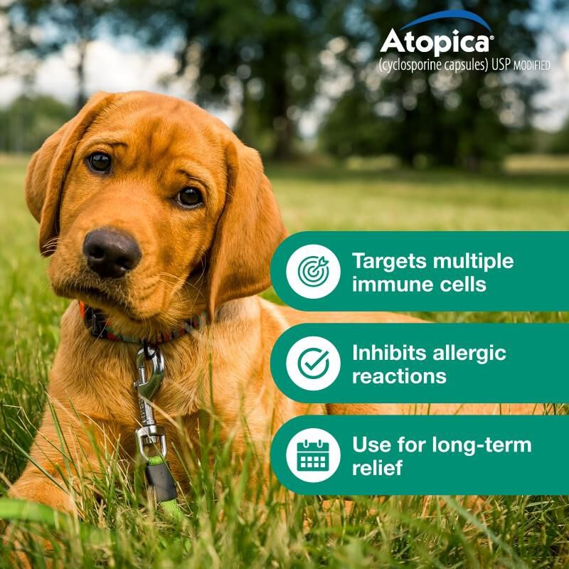 Atopica Capsules for Dogs 50 mg, 15 Ct.