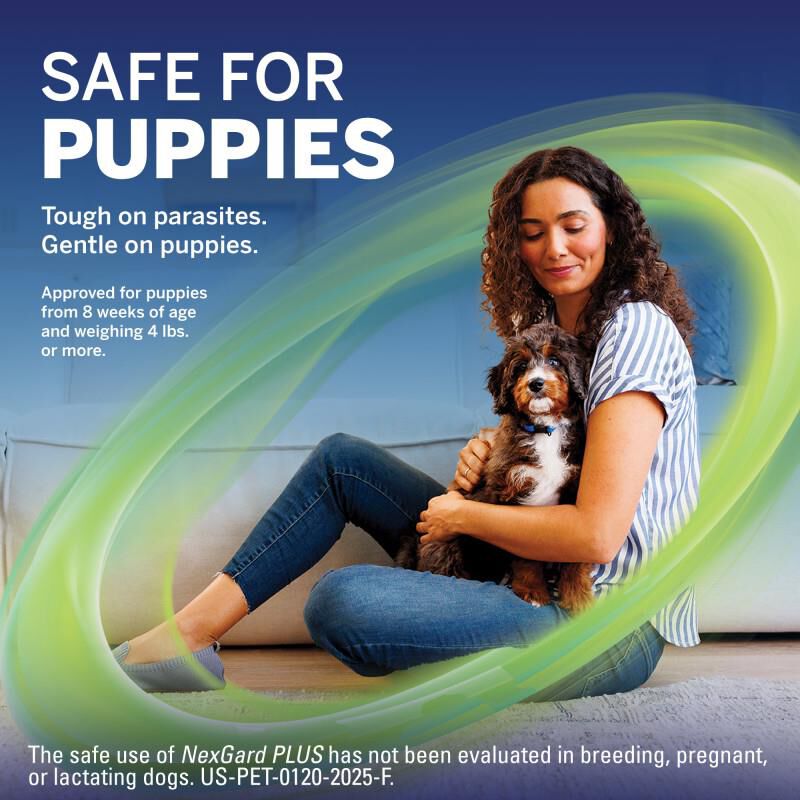 NexGard PLUS Chewables for Dogs 33.1-66 lbs Purple 6 Month Supply