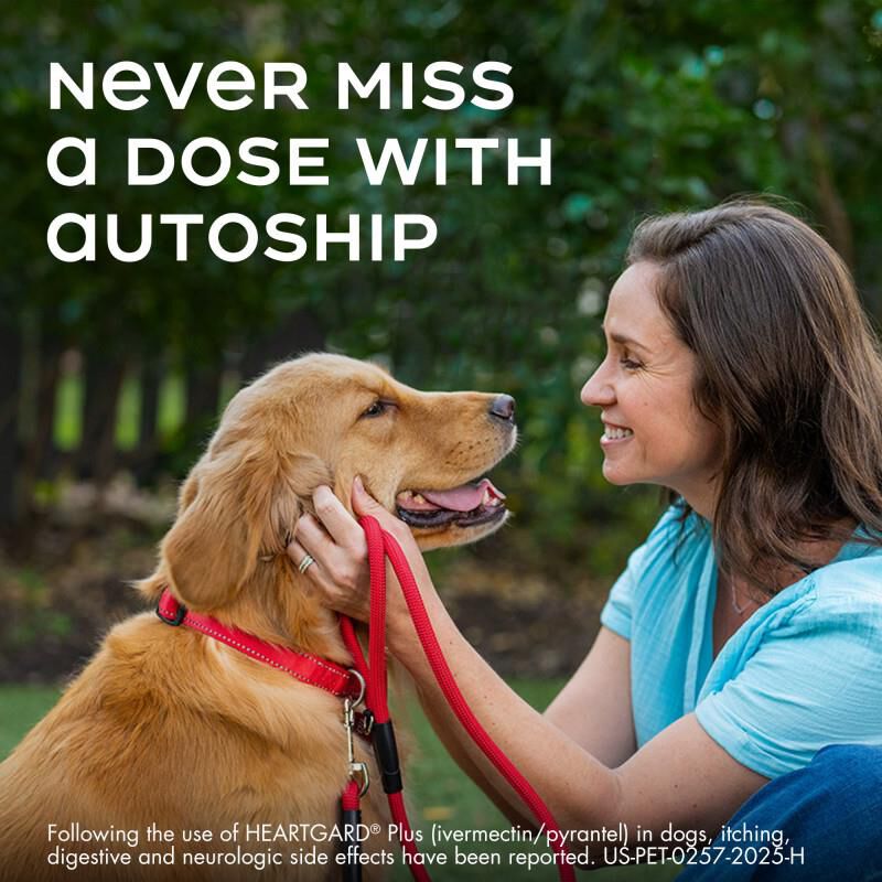 Heartgard Plus Chewable for Dogs 26-50 lbs Green, 6 Month Supply