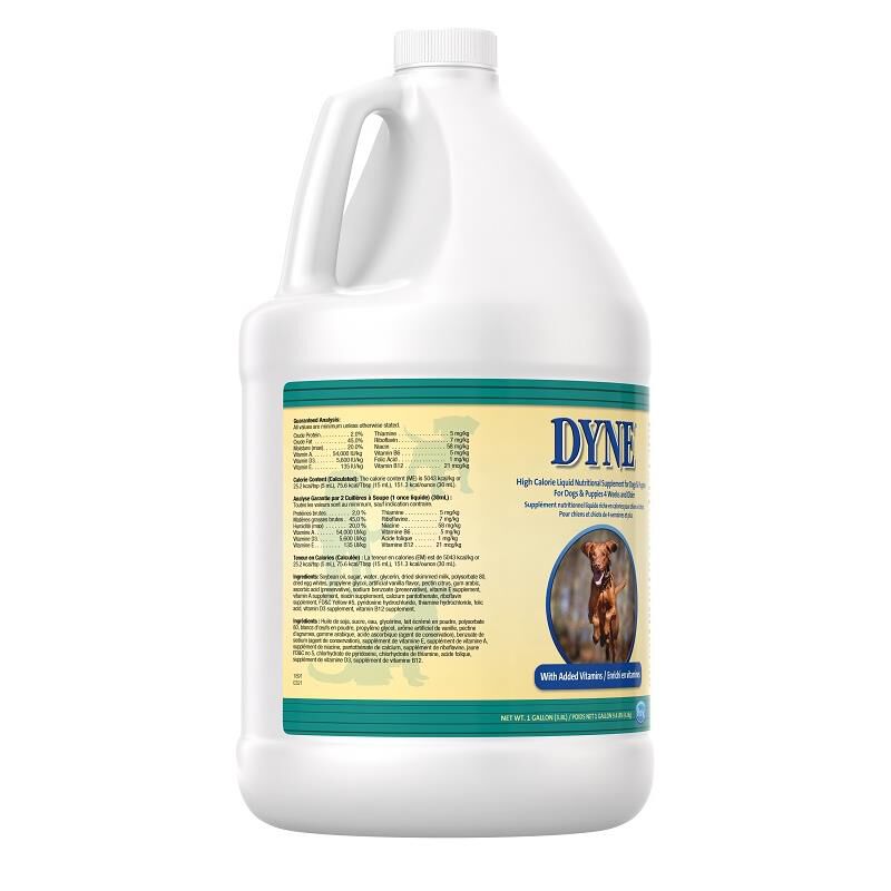 Dyne for 2025 dogs ingredients