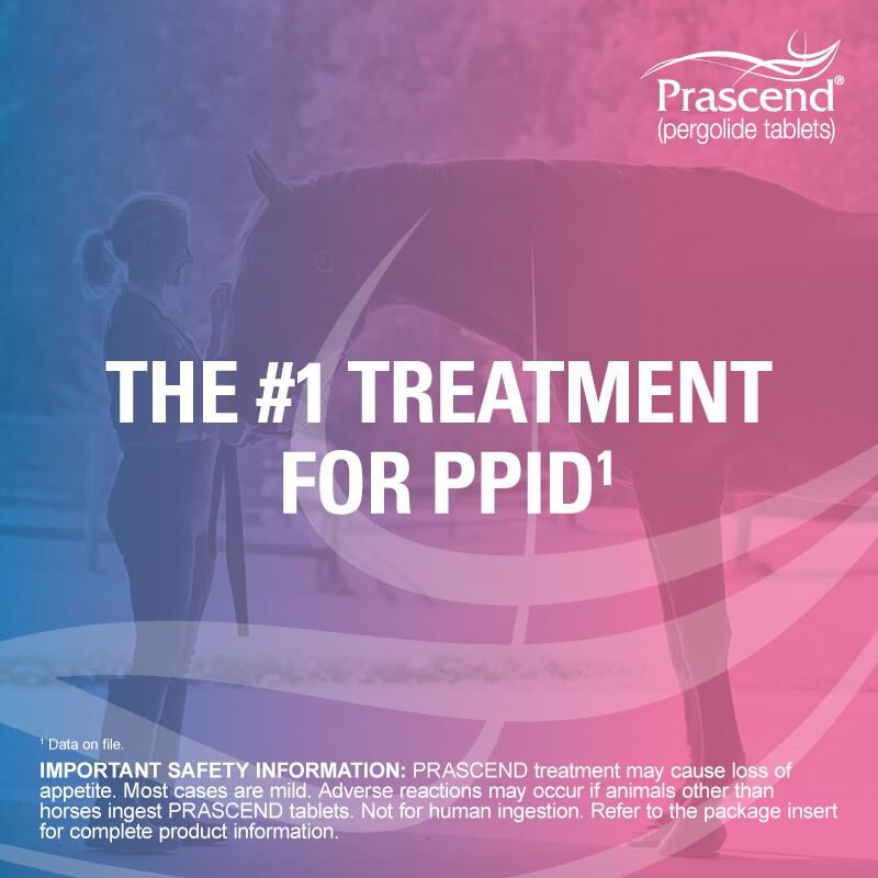 Prascend (pergolide tablets) for Horses 1 mg, 60 Ct.