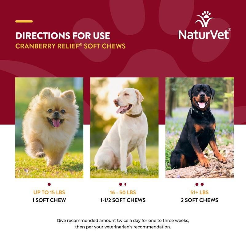 NaturVet Cranberry Relief Healthy Urinary Tract Plus Echinacea Soft Chews for Dogs, 120 Ct.