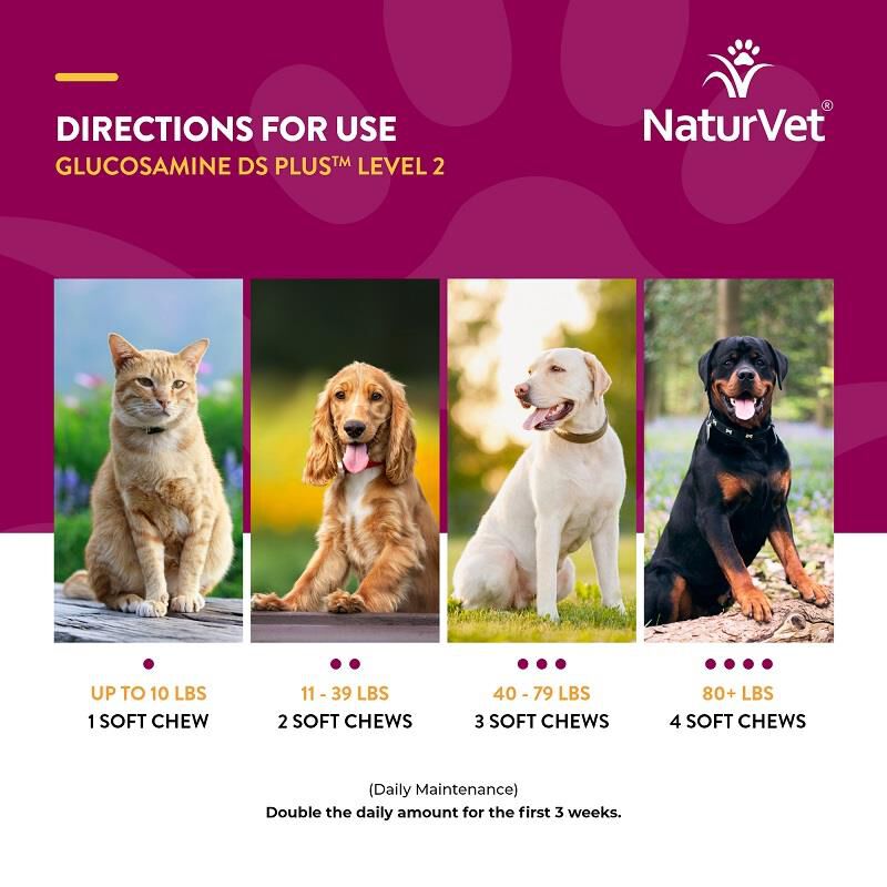 NaturVet Glucosamine DS Plus Level 2, 240 Soft Chews