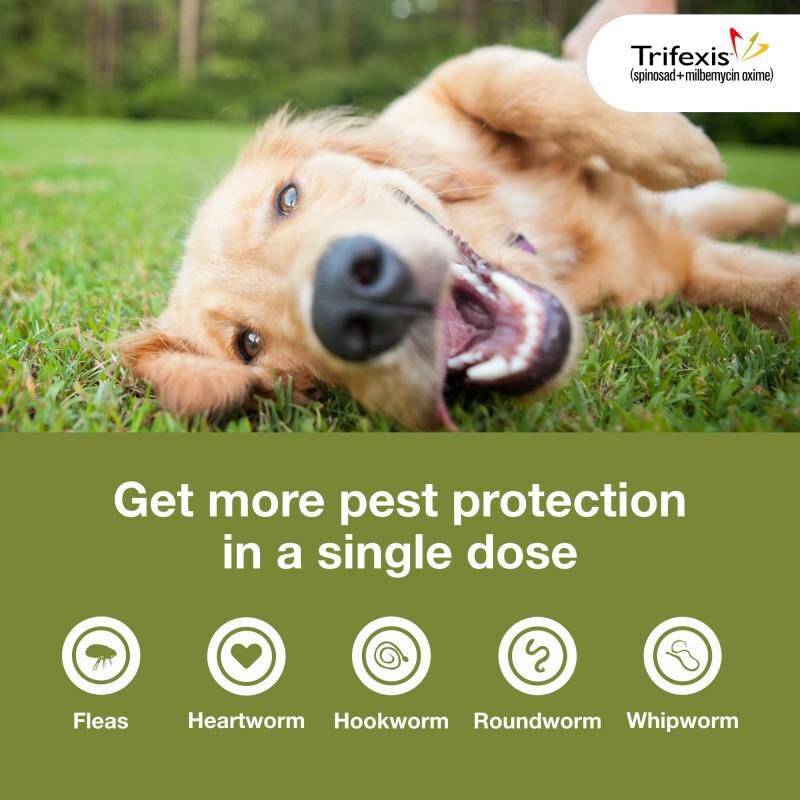 Trifexis Chewable Tablets for Dogs 60.1-120 lbs Brown, 12 Month Supply