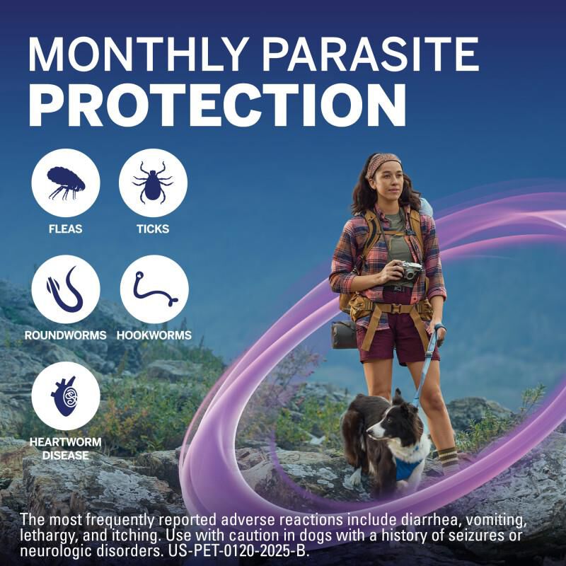 NexGard PLUS Chewables for Dogs 33.1-66 lbs Purple 6 Month Supply