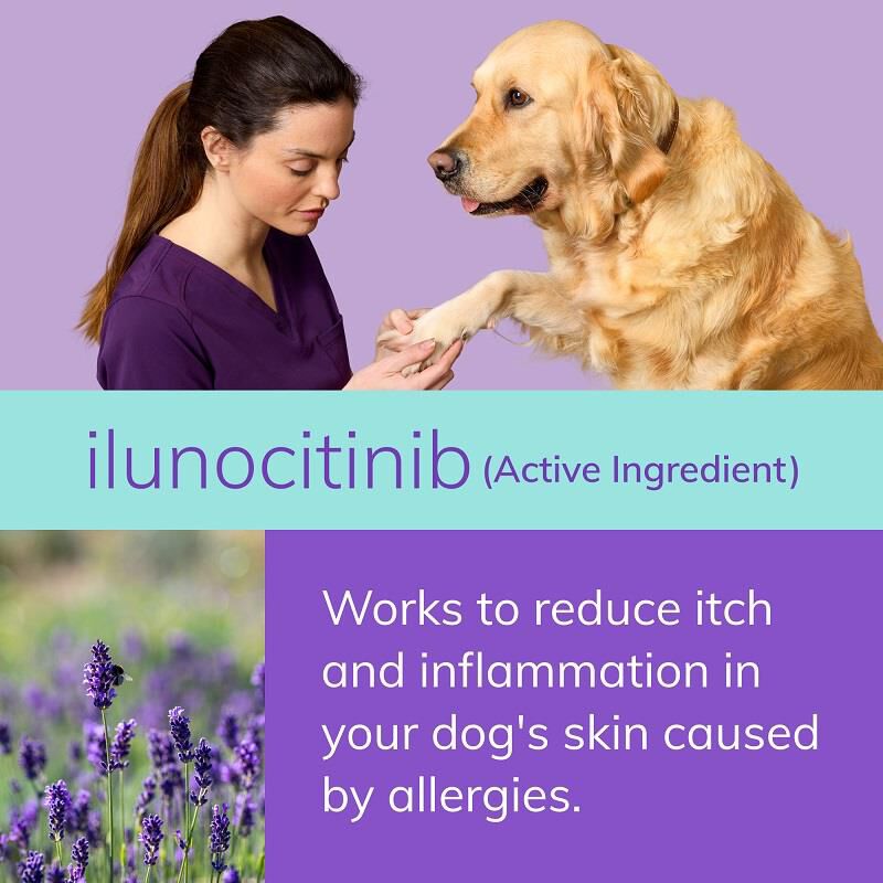 Zenrelia (ilunocitinib) Tablets for Dogs, 15 mg 30 ct