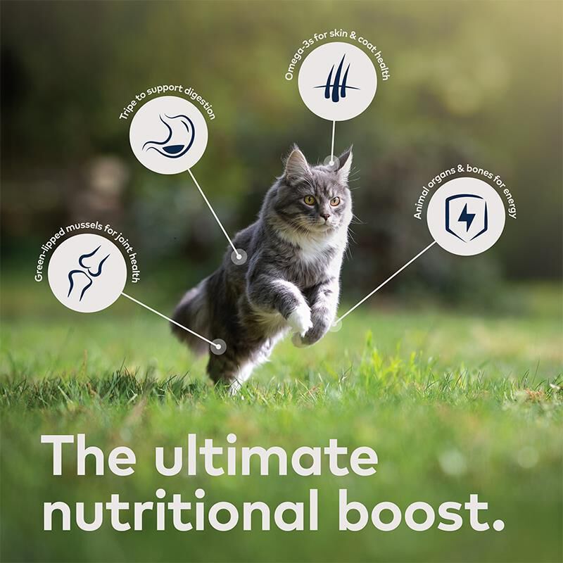 ZIWI Peak Wet Cat Food Variety Pack Venison, Beef, and Lamb, 6 x 3 oz cans