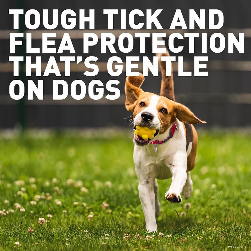 Credelio Flea Tick Chewable Tablets For Dogs Puppies Farm