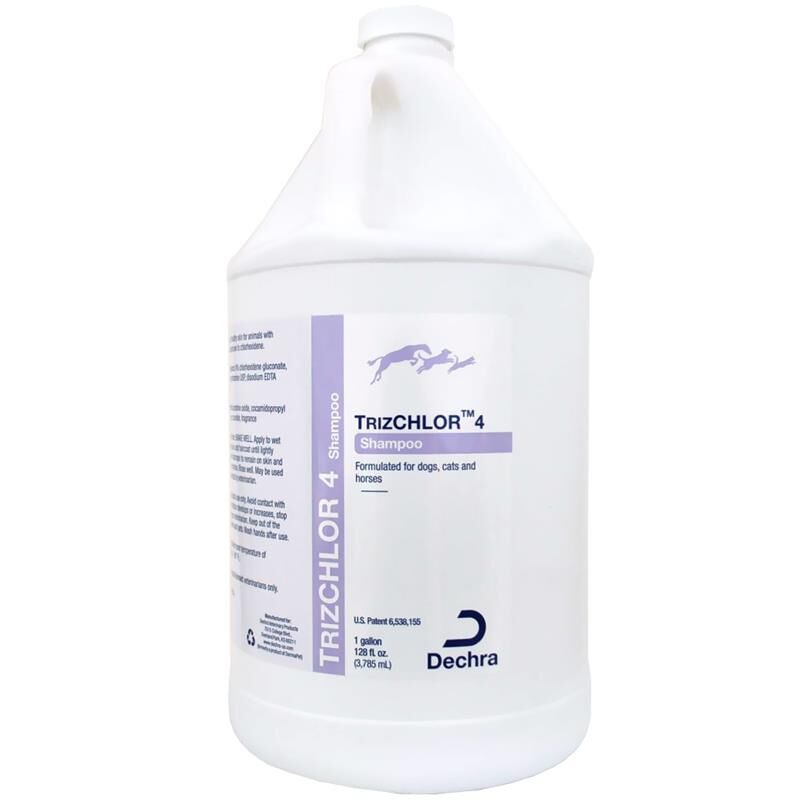 TrizCHLOR 4 Shampoo Gallon