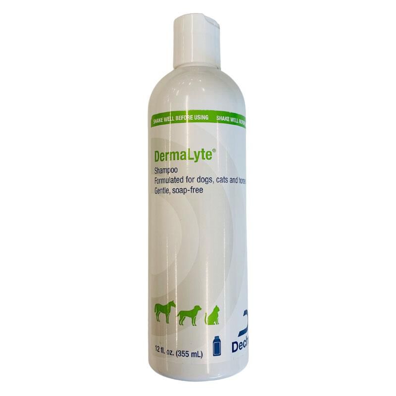 DermaLyte Shampoo