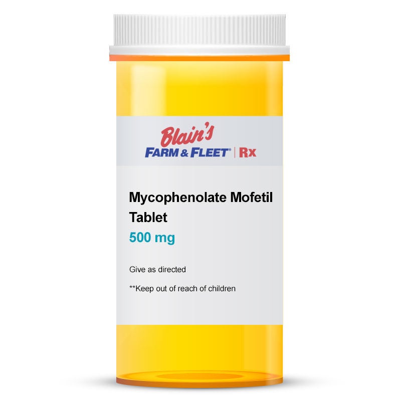 Mycophenolate Mofetil 500 mg Tablet