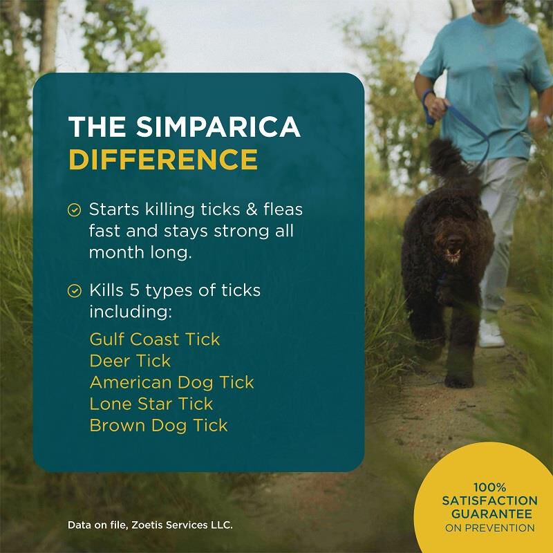 Simparica Chewable Tablets for Dogs 22-44 lbs Blue, 6 Month Supply