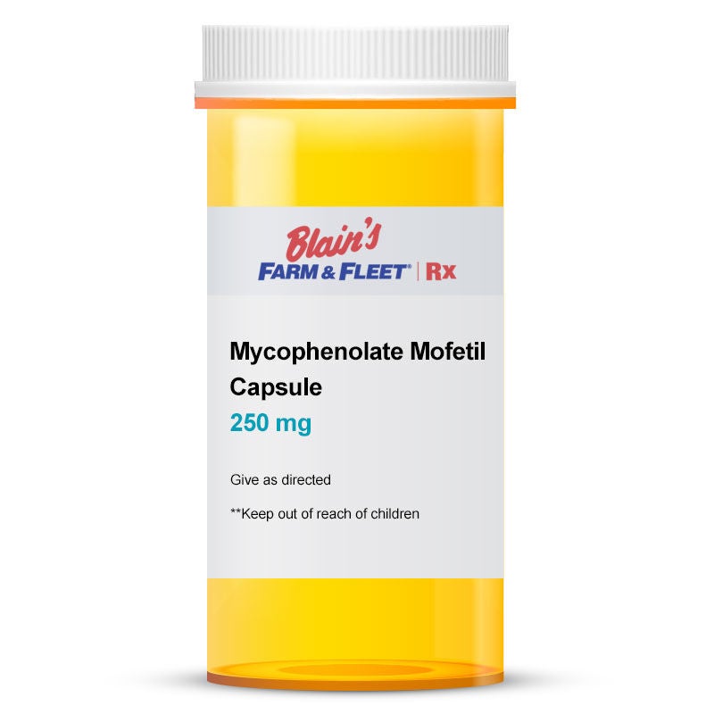Mycophenolate Mofetil 250 mg Capsule